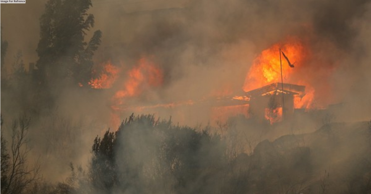 Raging forest fires in Chile kill 46; toll likely to rise